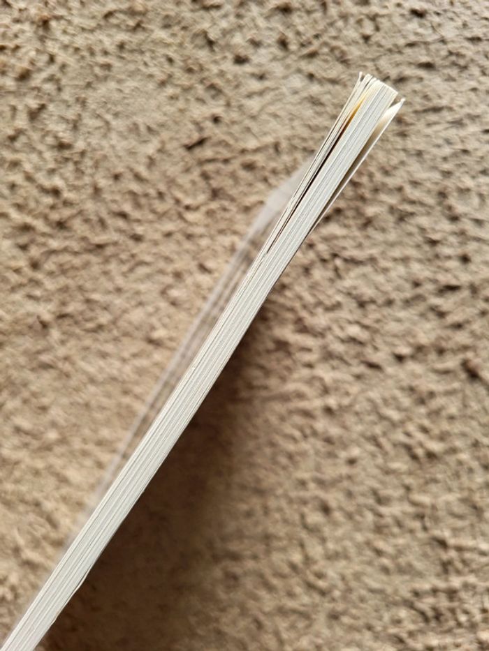 Lot 2 livres Mon écrivain préféré – Marie Desplechin & Brigitte Smadja – École des Loisirs - photo numéro 4