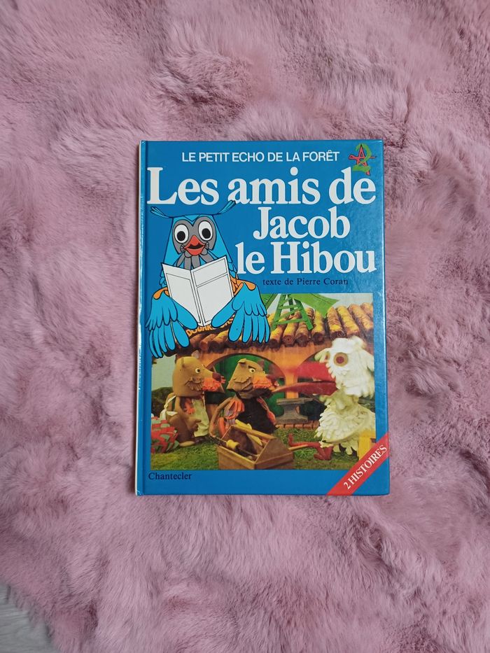 Livre Le petit écho de la forêt: les amis de Jacob le hibou