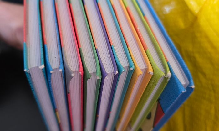 Lot de 9 livres bienvenue chez les loud - photo numéro 3