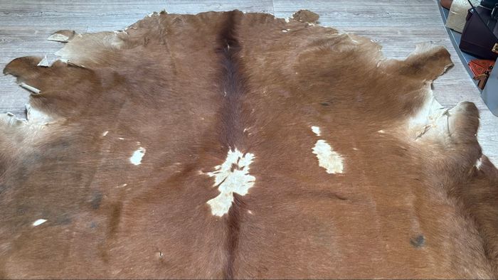 Tapis de vache - photo numéro 2
