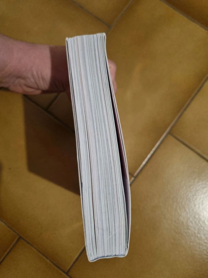 Gros livre histoires filles - photo numéro 3