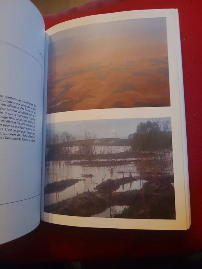 L'homme et les déluges - photo numéro 6