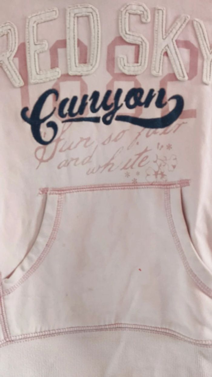 Sweat à capuche et poche kangourou 10 ans - photo numéro 2