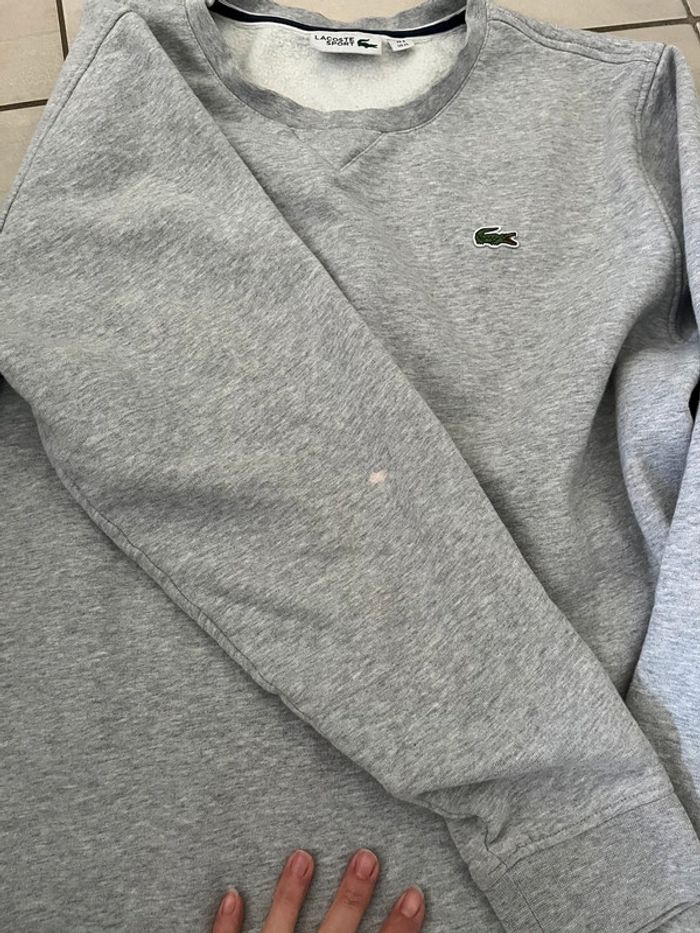Sweat Lacoste - photo numéro 3