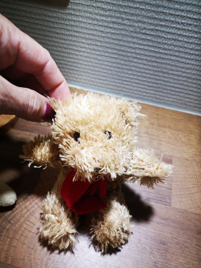 Petites peluches - photo numéro 6