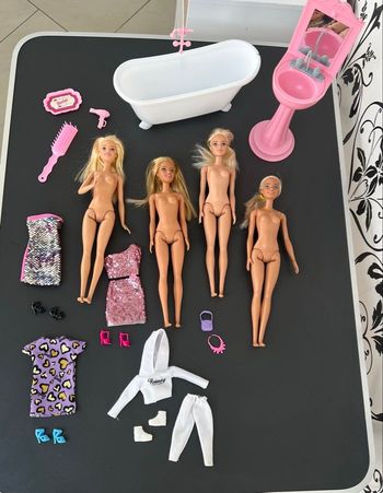 Barbie et accessoires 