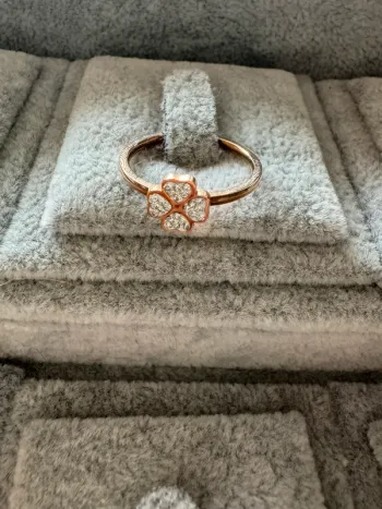 Bague acier chirurgical