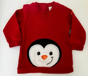 Pull bébé 12 mois