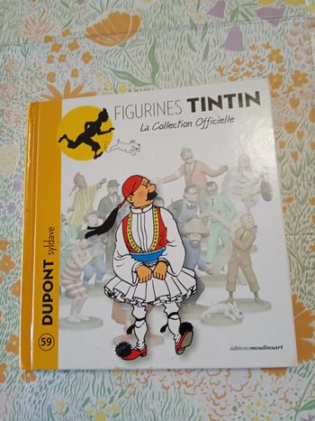 Livre tintin 