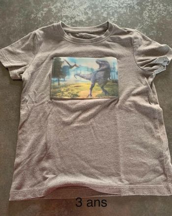 Tee-shirts dinosaure 3 ans