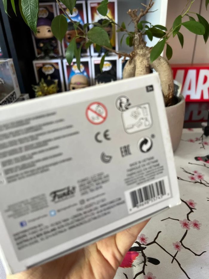 Pop Loki - photo numéro 5