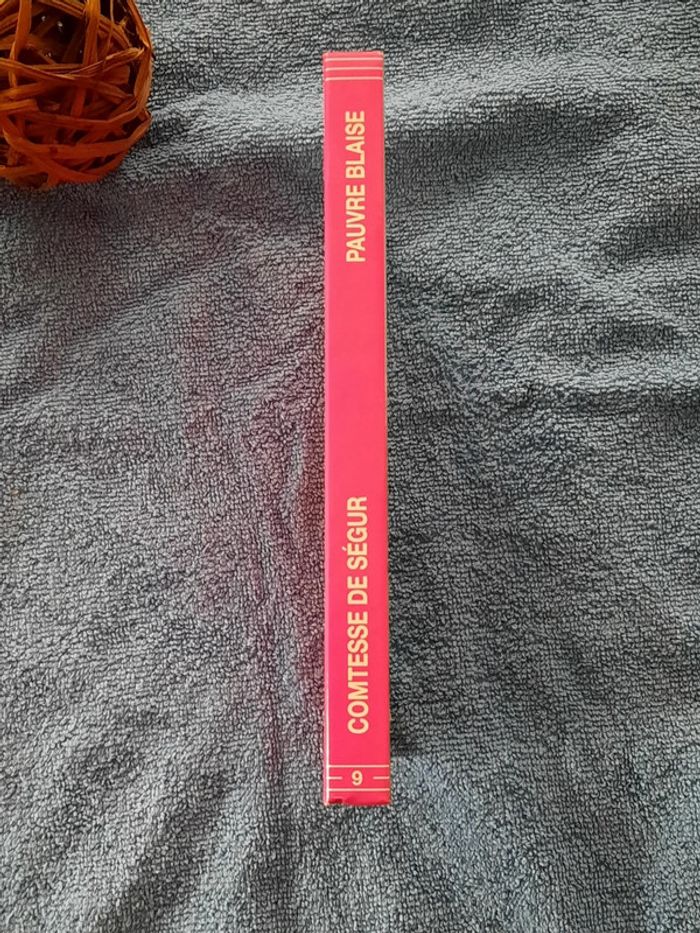 Pauvre blaise - photo numéro 3