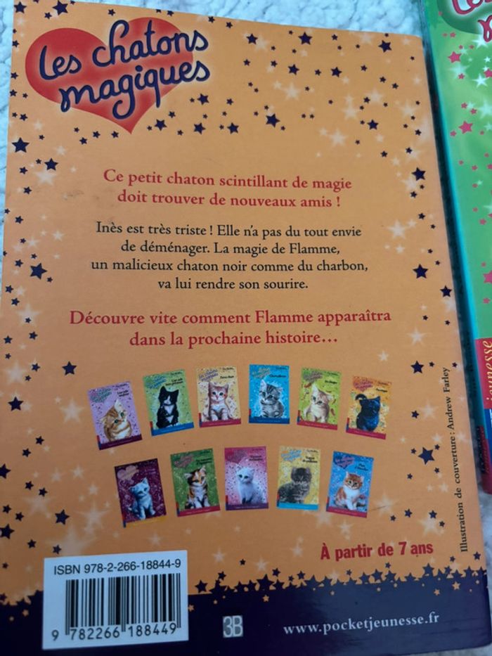 Livre les chatons magiques - photo numéro 2
