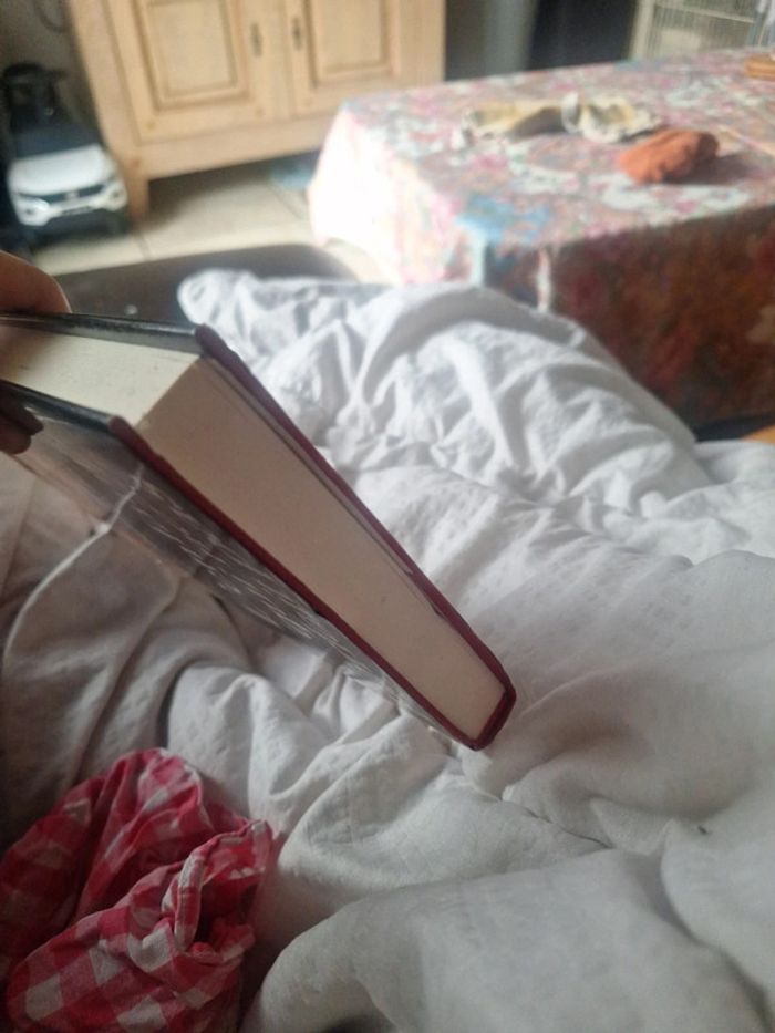 L'enfant qui ne parlait pas livre - photo numéro 9