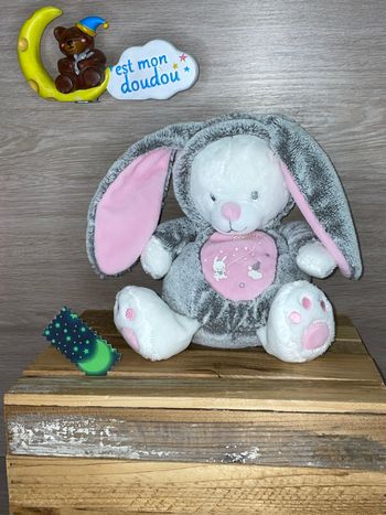 MD13 doudou lapin 🐰 mots d’enfant