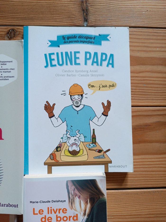 Lot livres grossesse en tbe - photo numéro 3