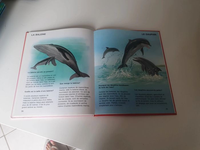 Mon 1er livre des animaux - photo numéro 3