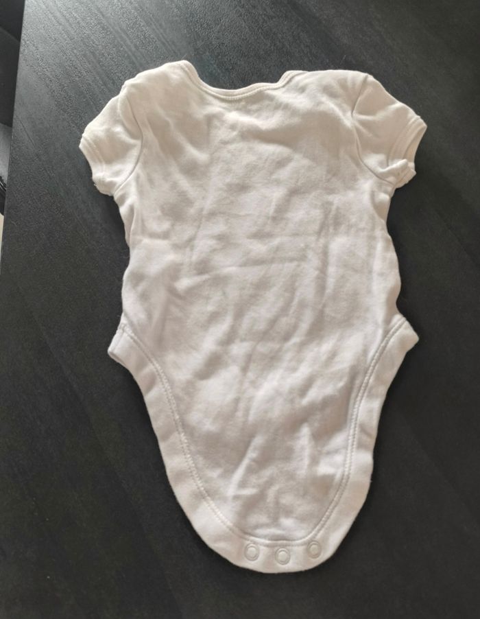 Body panda - photo numéro 2