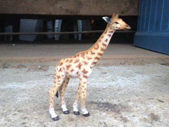 Figurine girafe