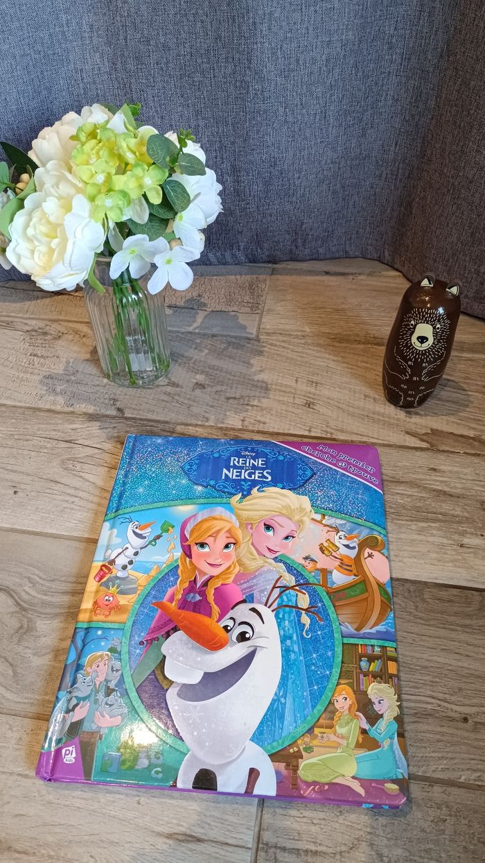 Livre reine des neiges
