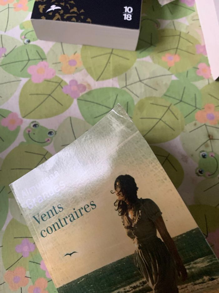 Vent contraire - photo numéro 7