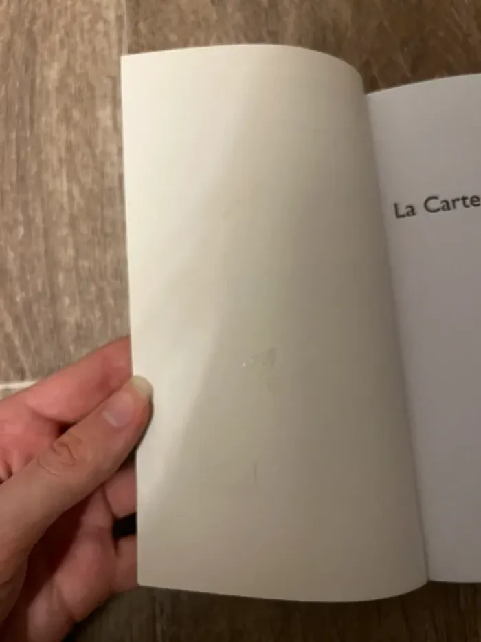 La Carte et le Territoire - photo numéro 4
