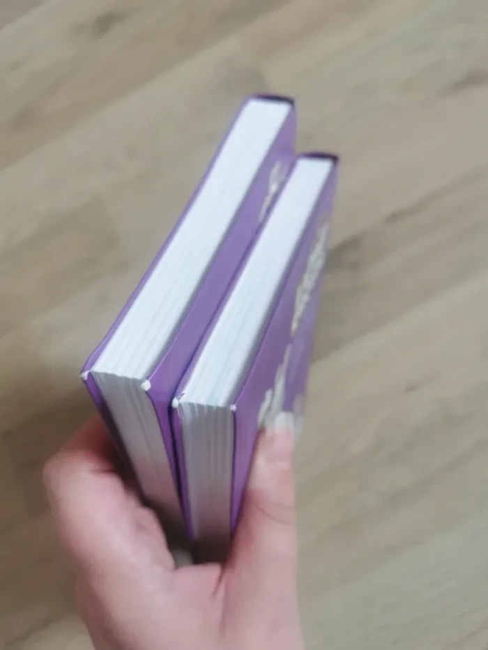 Lot 2 livres lapins crétins - photo numéro 4