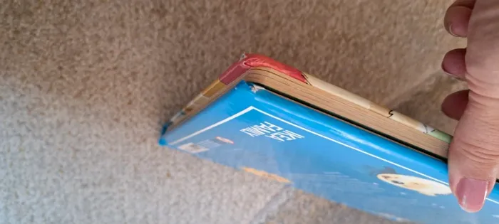 Livre interactif "la sécurité à la maison" - photo numéro 5