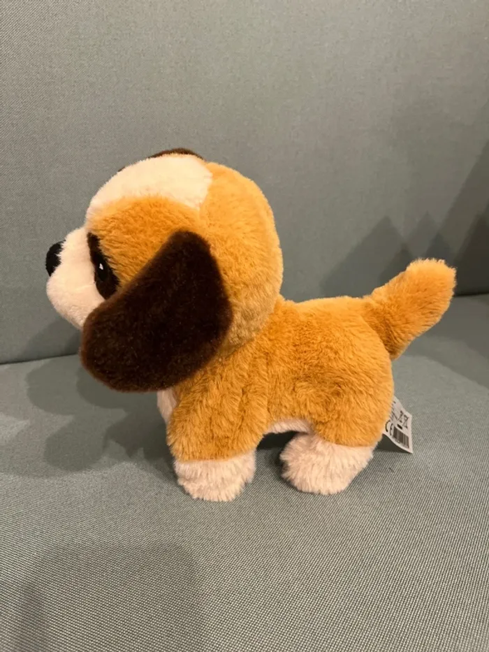 Chien - photo numéro 2