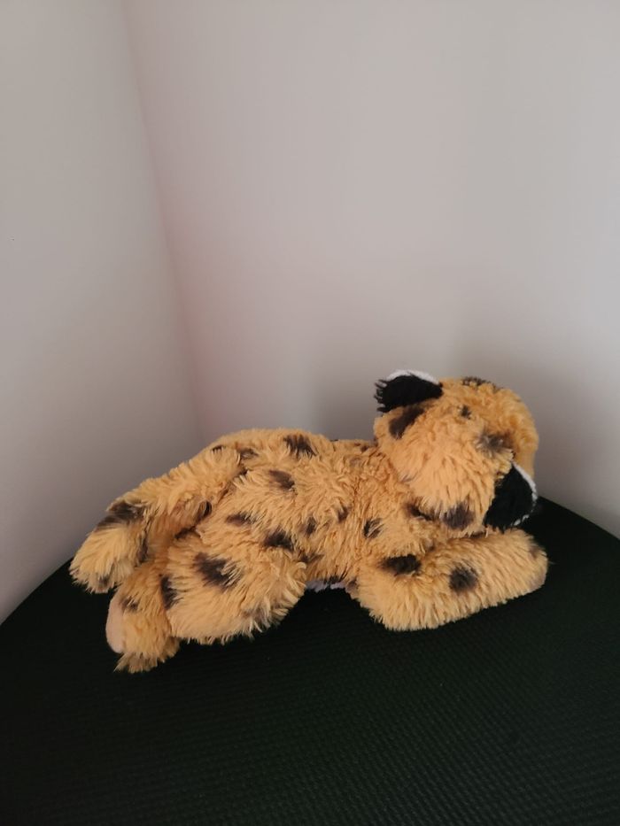 mini guépard - photo numéro 4