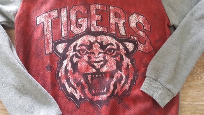 Sweat t 12 ans - photo numéro 2