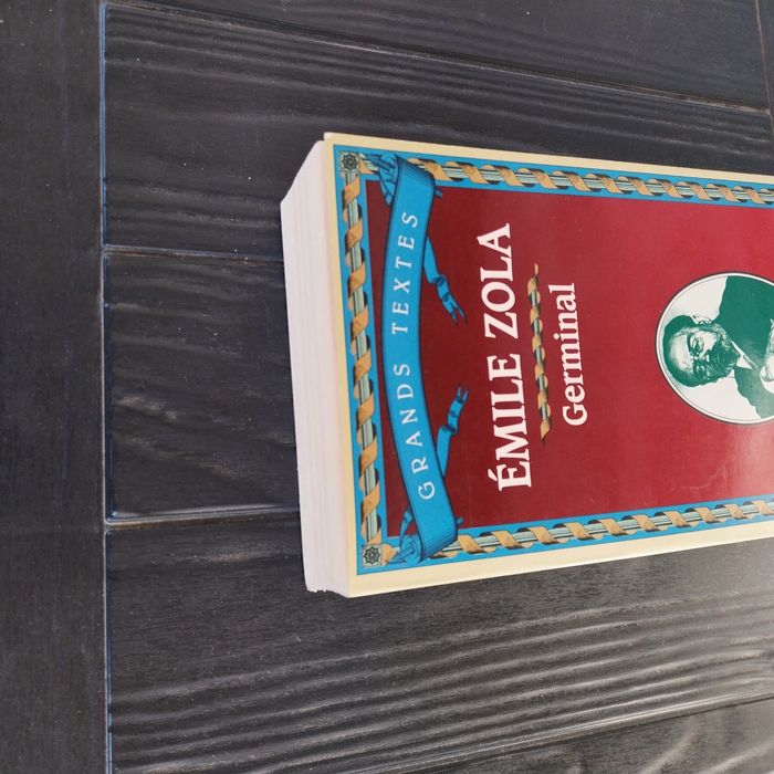 Germinal d'Émile Zola 5 euros - photo numéro 6