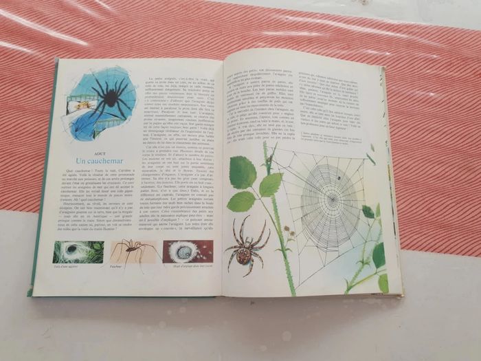 Livre vintage la nature - photo numéro 11