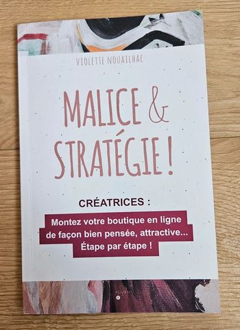 Livre malice et stratégie ! Créatrices, montez votre boutique en ligne