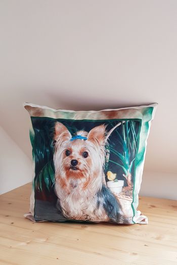 🐶 Coussin décoratif "Yorshire" - Neuf 🐶
