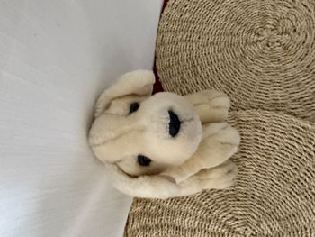 Peluche pour chiot labrador de Keel Toys - Collection Simply Soft