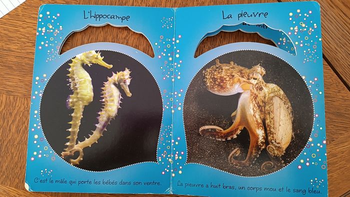 Livre imagier première ms découvertes des animaux de la mer - photo numéro 3