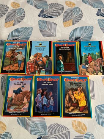 Livre de poche le grand galop