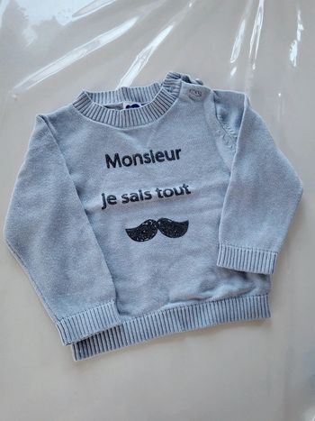 Pull monsieur je sais tout 12 mois