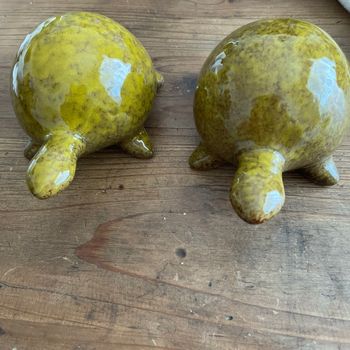 Tortues