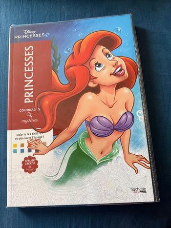 Coloriage mystères Princesses