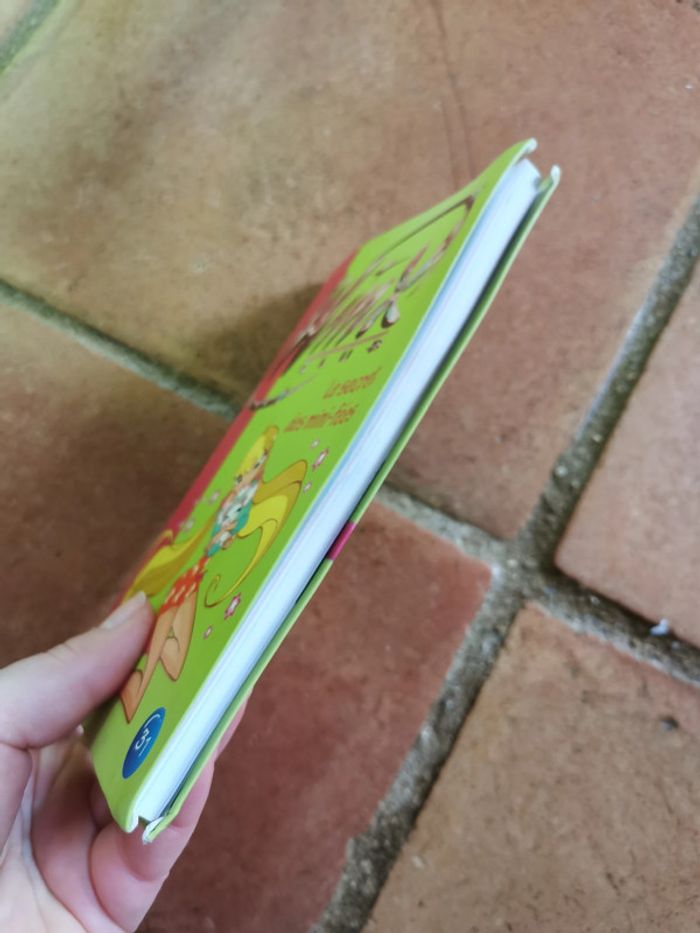 Winx Club, le secret des mini-fées - photo numéro 6