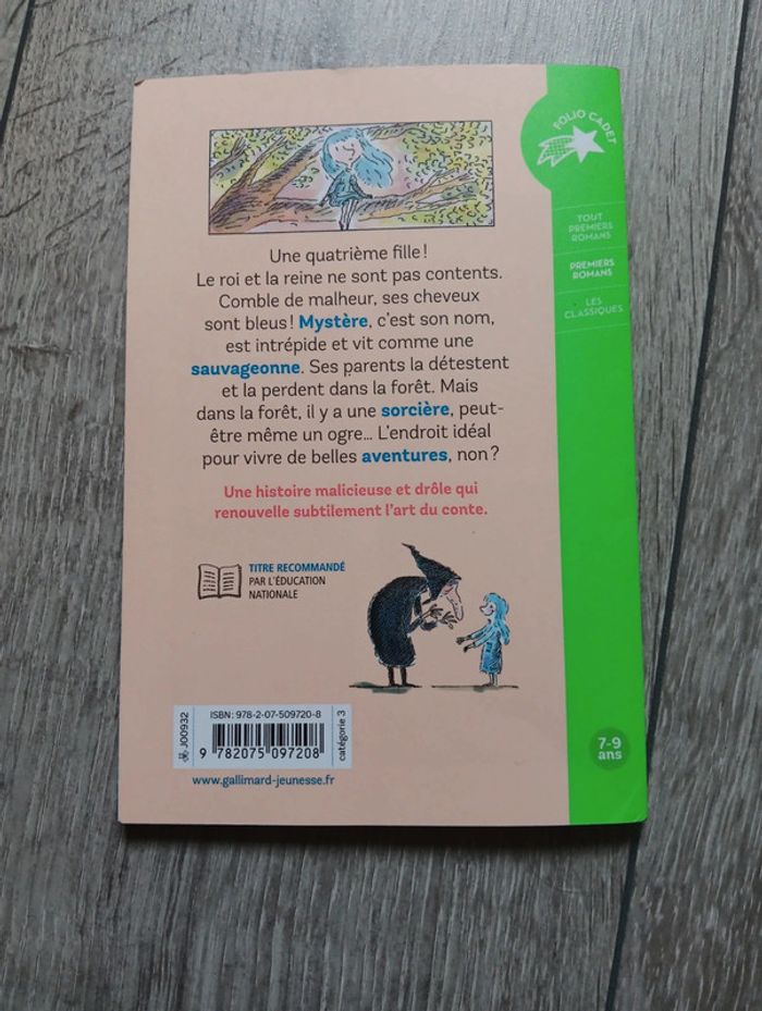 Livre Mystère de Marie Aude Murail Premiers romans Gallimard - photo numéro 2