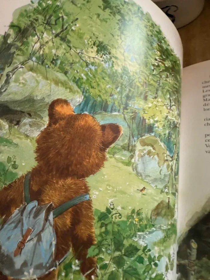 Édition limitée reliure rouge collector - Grand livre Caroline et Boum Ermite Pierre Probst - photo numéro 7