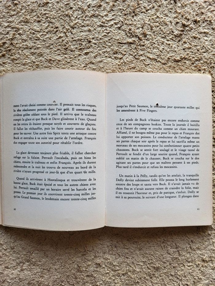 Livre de collection L'appel de la forêt de Jack London - photo numéro 7