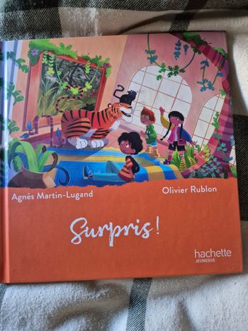 Livre Le musée magique Surpris