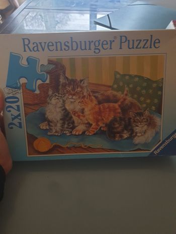 Puzzle 2×20 pièces