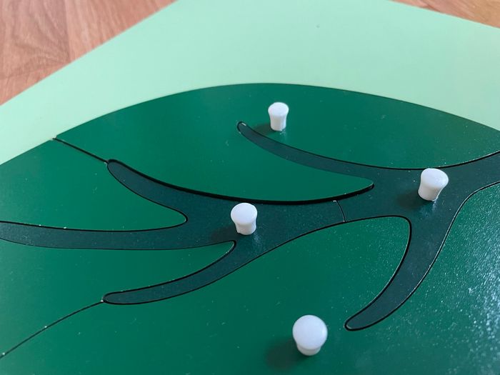 Puzzle Botanique Montessori : la feuille - photo numéro 5