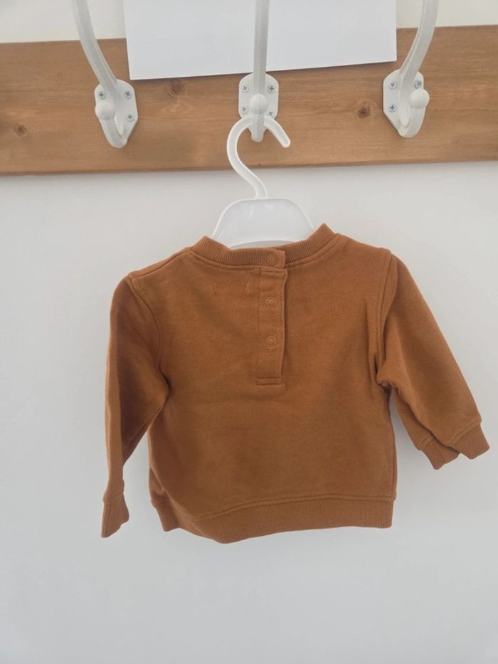 Pull 6m lapins - photo numéro 4