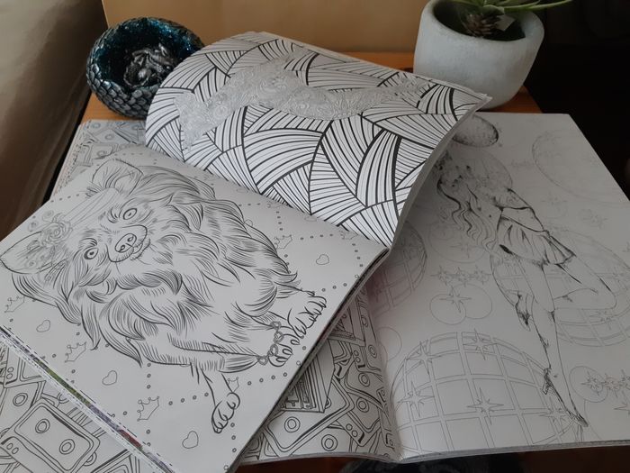 Magazine de coloriage bien-être et Zen - photo numéro 5